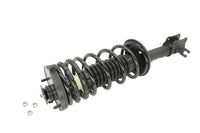 KYB Shocks & Struts Strut Plus Rear Left FORD Escort 1991-96 MAZDA 323 1990-94 MAZDA Protege 1990-94 - Mammoth Racing -