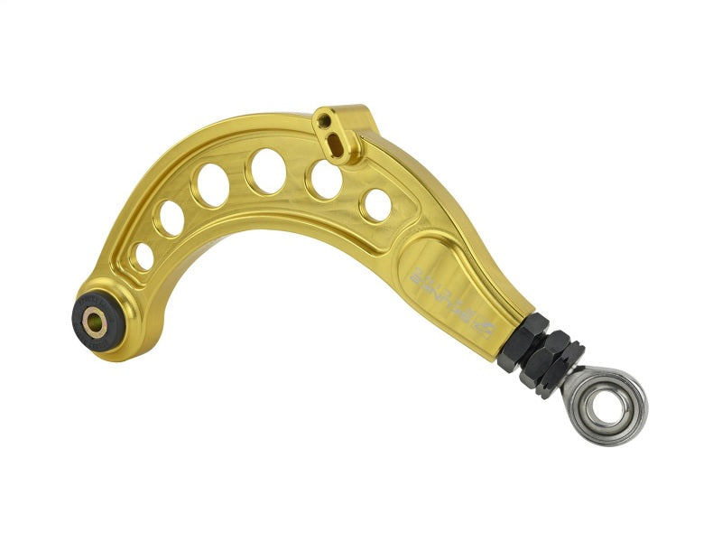 Skunk2 Pro Series 16-20 Honda Civic Gold Anodized Rear Camber Kit - Mammoth Racing -