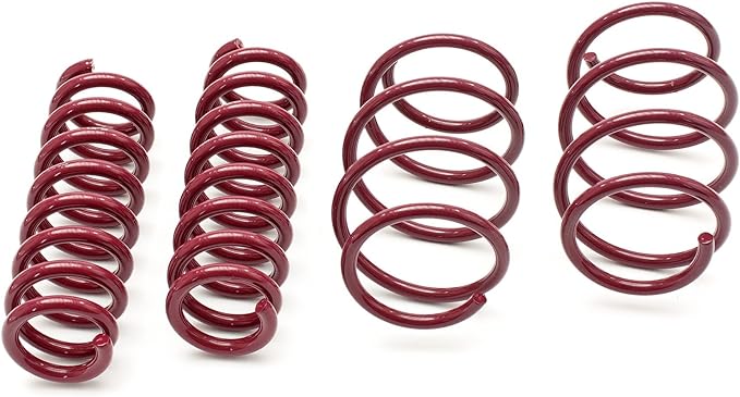 Vogtland 951092 Lowering Springs - My Store