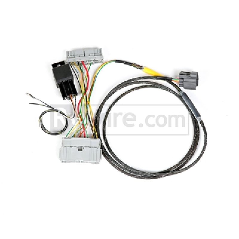 Rywire 01-05 Honda Civic K-Series Conversion Chassis Adapter Harness - Mammoth Racing -