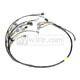 Rywire 13B Haltech Mil-Spec Eng Harness w/EV14 Inj/Denso 5th/6th Inj/Delphi Press Sensor/Bosch Knock - Mammoth Racing -