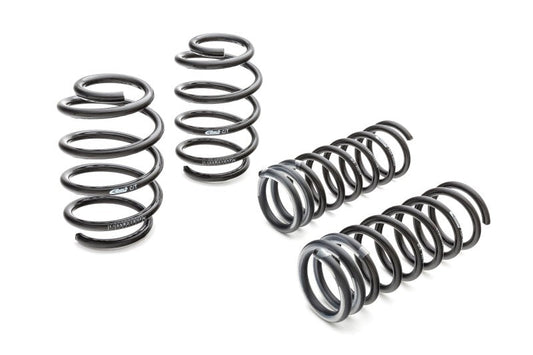 Eibach Pro-Kit for 15-16 Audi TT Quattro - Mammoth Racing -