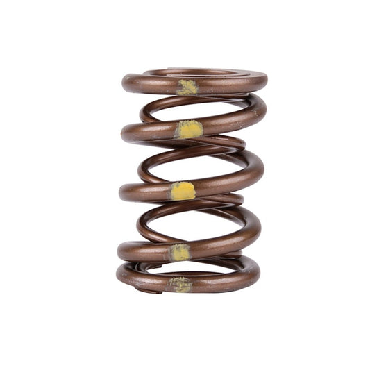 Skunk2 Pro Series Honda/Acura B-Series Vtec XP Valve Spring Set (Dual Springs)