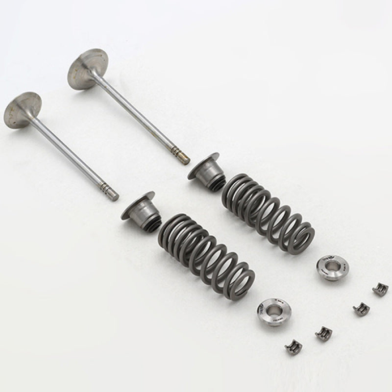 Ford Racing 5.2L Cylinder Head Valve Train Kit - Mammoth Racing -