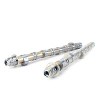 Skunk2 Honda / Acura K20a/a2/z1/z3 & K24a2 2.0l Dohc BMF 2 Vtec Camshafts - Mammoth Racing -