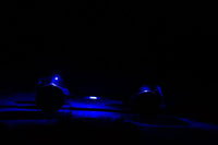 KC HiLiTES C-Series RGB LED Rock Light Kit (Incl. Wiring) - Set of 6 - Mammoth Racing -