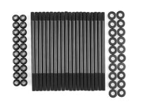ARP Ford Modular 4.6L 2&4 Valve 12 pt Head Stud Kit - Mammoth Racing -