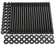 ARP Ford Coyote 5.0L Head Stud Kit - Mammoth Racing -