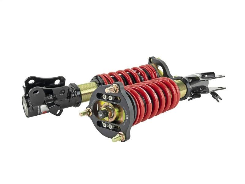 Skunk2 06-11 Honda Civic Si Pro ST Coilovers - Mammoth Racing -