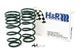 H&R 90-95 Toyota 4 Runner (2wd/4wd) Adventure Raising Spring (Adjustable) - My Store