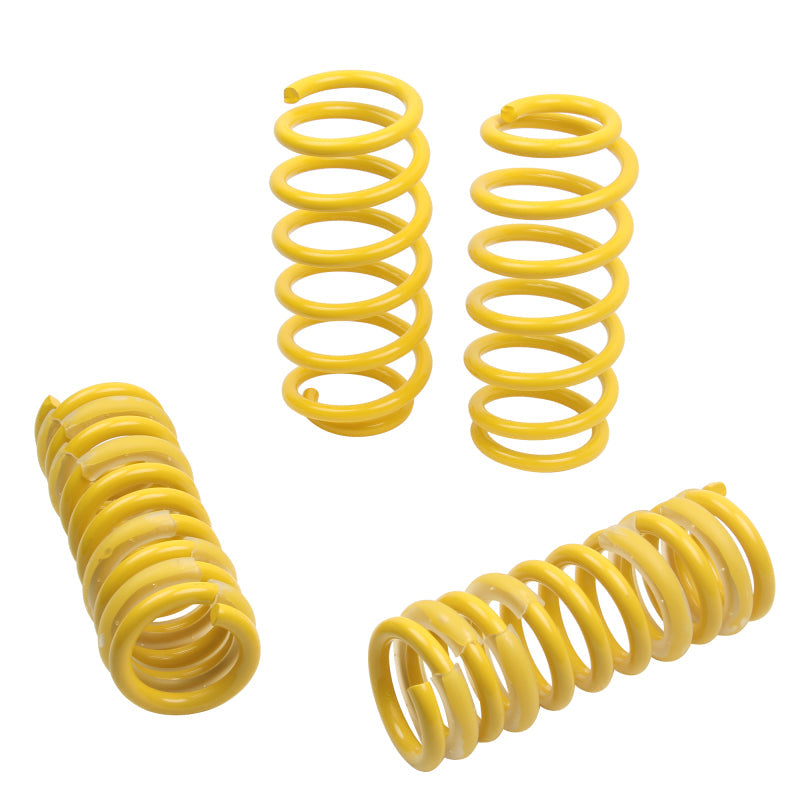 ST Sport-tech Lowering Springs Chrysler 300c 2WD / Dodge Charger Magnum - My Store
