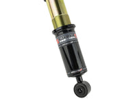 Skunk2 17-20 Honda Civic Si Pro-ST Coilovers - Mammoth Racing -