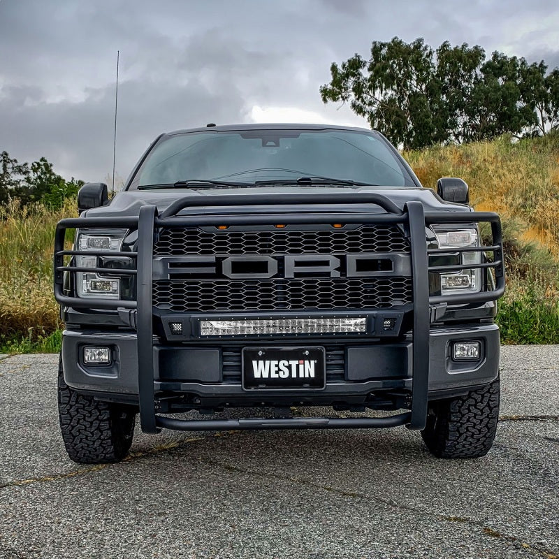Westin 15-20 Ford F150 Sportsman X Grille Guard - Textured Black - Mammoth Racing -
