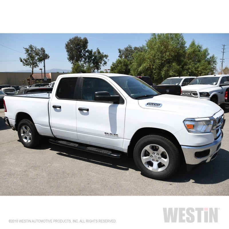 Westin 2019 Ram 1500 Quad Cab (Excl Classic) PRO TRAXX 5 Oval Nerf Step Bars - Black - Mammoth Racing -