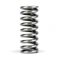 Skunk2 Alpha Series Honda D Series Vtec Valve Spring Set - Mammoth Racing -