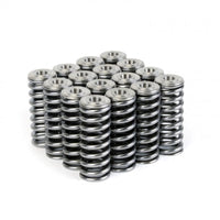 Skunk2 Alpha Series Honda/Acura D Series Valve Spring and Titanium Retainer Kit - Mammoth Racing -