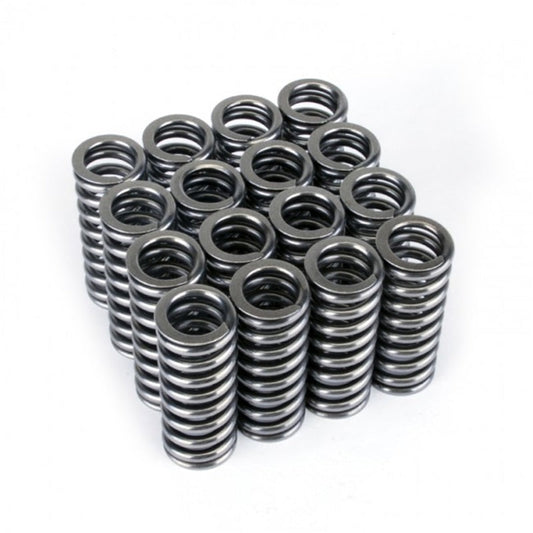 Skunk2 Alpha Series Honda D Series Vtec Valve Spring Set