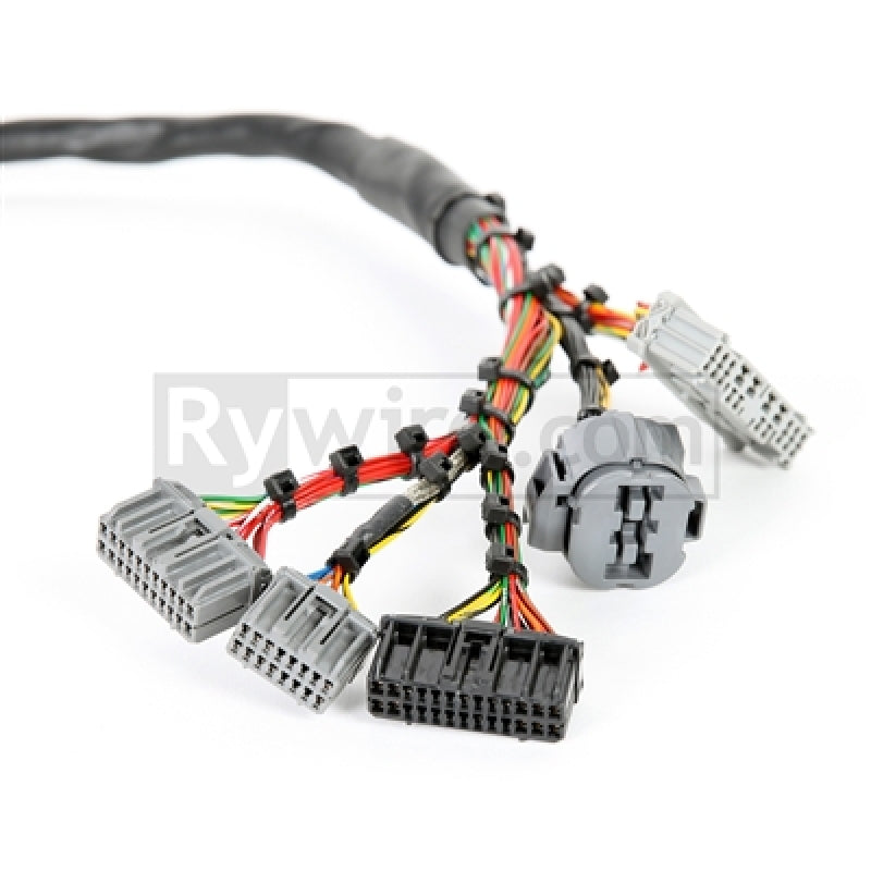 Rywire Honda B-Series Mil-Spec Eng Harness w/OBD2 Dist/Inj/Alt & OBD1 92-95 ECU Plugs (Adapter Req) - Mammoth Racing -