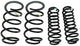 Ford Racing 2013 Cobra Jet Spring Kit - My Store