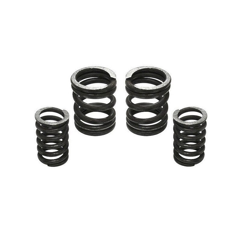 Industrial Injection Dodge 5.9l Cummins 12V 5000 Governor Spring Kit - My Store