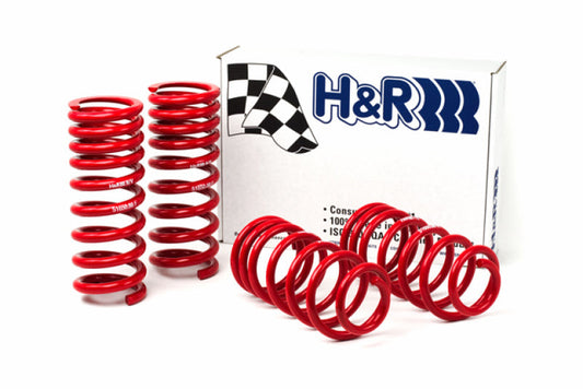 H&R 94-95 Ford Mustang/Mustang Cobra V8 Race Spring - My Store