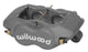 Wilwood Caliper-Forged DynaliteI 1.75in Pistons .81in Disc - Mammoth Racing -