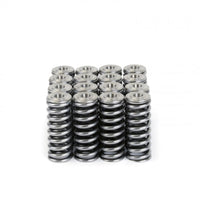 Skunk2 Alpha Series Honda/Acura D Series Valve Spring and Titanium Retainer Kit - Mammoth Racing -