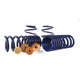 Ford Racing 15-22 Mustang Track Lowering Spring Kit - Mammoth Racing -