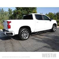 Westin 2019 Chevrolet Silverado/Sierra 1500 Crew Cab Non LD PRO TRAXX 4 Oval Nerf Step Bars - Black - Mammoth Racing -