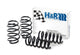 H&R 09-19 Ford Flex (2wd/awd) Sport Spring - My Store