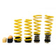 ST Sport-tech Adjustable Lowering Springs 2011+ Dodge Charger/Challenger 6/8 Cyl - My Store