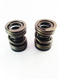 DDP Dodge 94-98 P-Pump 3000 & 4000 RPM Governor Spring Kit - Mammoth Racing -
