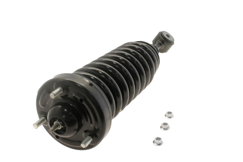 KYB Strut Plus Front Ford F-150 (4WD) 04-08 - Mammoth Racing -