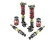 Skunk2 14-15 Honda Civic Pro ST Coilovers - Mammoth Racing -