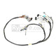 Rywire Honda B-Series Mil-Spec Eng Harness w/Quick Disconnect / OBD2 Dist/Inj/Alt & 92-95 ECU Plugs - Mammoth Racing -
