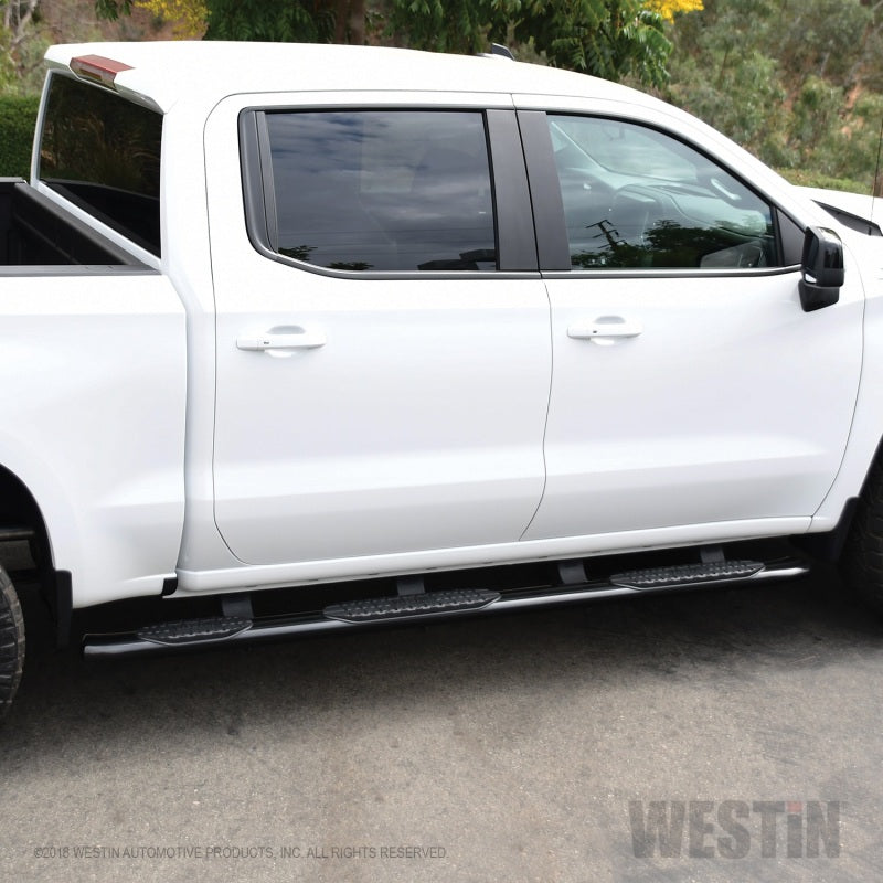 Westin 2019 Chevrolet Silverado/Sierra 1500 CC (5.5ft) PRO TRAXX 5 WTW Oval Nerf Step Bars - Black - Mammoth Racing -