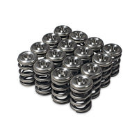 Skunk2 Alpha Series Honda/Acura H Series Valve Spring and Titanium Retainer Kit - Mammoth Racing -