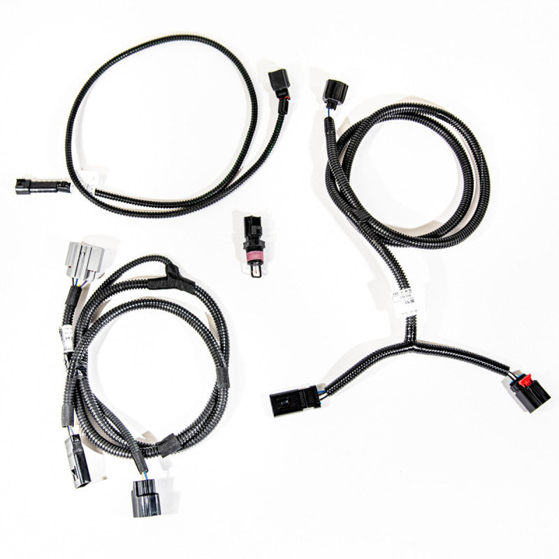 VMP Performance 11-14 Coyote 5.0L SC PnP Harness Kit (MAF IAT) - My Store
