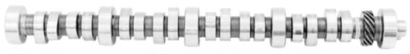 Ford Racing Small Block V-8 Hydraulic Roller Tappet Camshafts - Mammoth Racing -