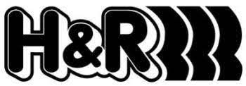 H&R Replacement Rear Left Strut for 29177-1 Kit - My Store