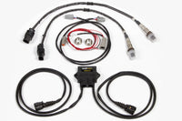 Haltech WB2 Dual Channel CAN O2 Wideband Controller Kit - Mammoth Racing -