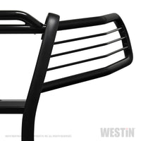Westin 19-20 Ford Ranger Sportsman Grille Guard - Black - Mammoth Racing -