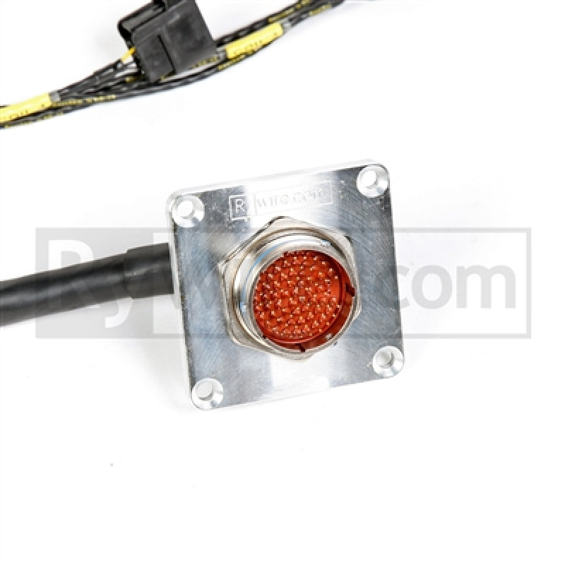Rywire Honda F/H-Series Mil-Spec Eng Harn w/OBD1 Dist/Inj/Alt & 92-95 Plugs (Adapter/Plug Color Req) - Mammoth Racing -