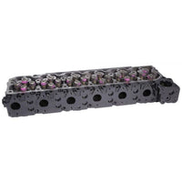 Fleece Performance 03-07 Dodge 2500/3500 5.9L Remanufactured Cummins Cylinder Head (Street HD) - Mammoth Racing -