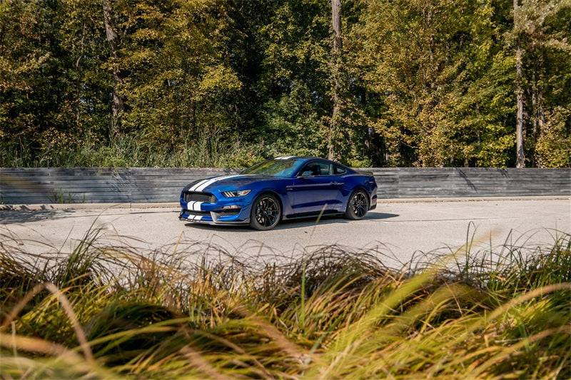 Corsa 2015-2020 Ford Mustang GT350/R 5.2L V8 Dual Rear Cat-Back- Stainless Dual Rear Exit - Mammoth Racing -