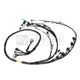 Rywire Honda K24 Tucked Eng Harn w/02-04 K24 Crank/Knock Sensor (D/S Only / Add VSS Position on PO) - Mammoth Racing -