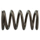 Industrial Injection 110 LBS Single Valve Spring Set - Mammoth Racing -