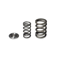 Skunk2 Alpha Series Honda/Acura H Series Valve Spring and Titanium Retainer Kit - Mammoth Racing -