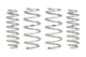 Eibach 21-23 Ford Bronco Sport Pro-Lift Kit Springs (Front & Rear) - Mammoth Racing -