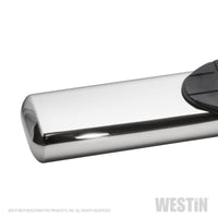 Westin 19-22 RAM 1500 CC (Excl. Classic) PRO TRAXX 6 Oval Nerf Step Bars - SS - Mammoth Racing -